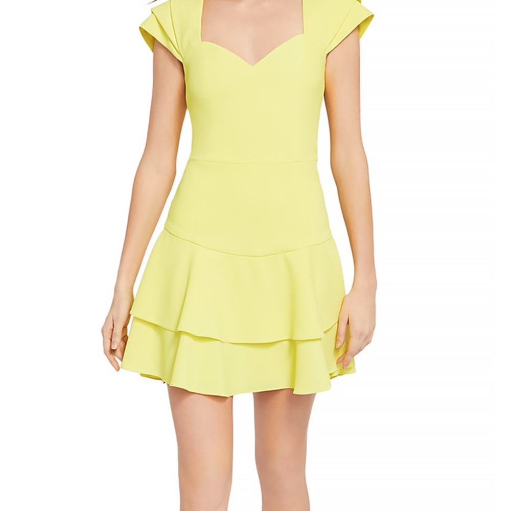 Alice + Olivia Brinda Double-Ruffle Fit and Flare Dress